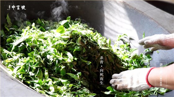 中吉號(hào)老班章