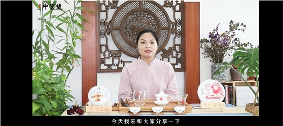 中吉號茶堂：如何分辨普洱熟茶和生茶？