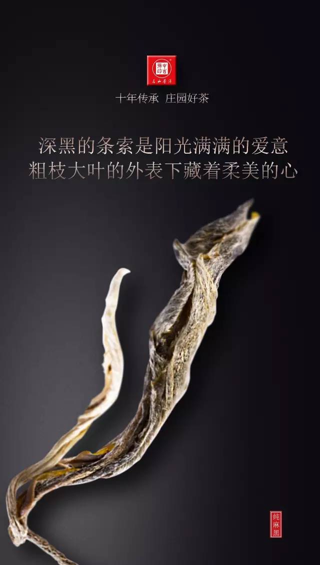 古樹(shù)茶純麻黑普洱茶