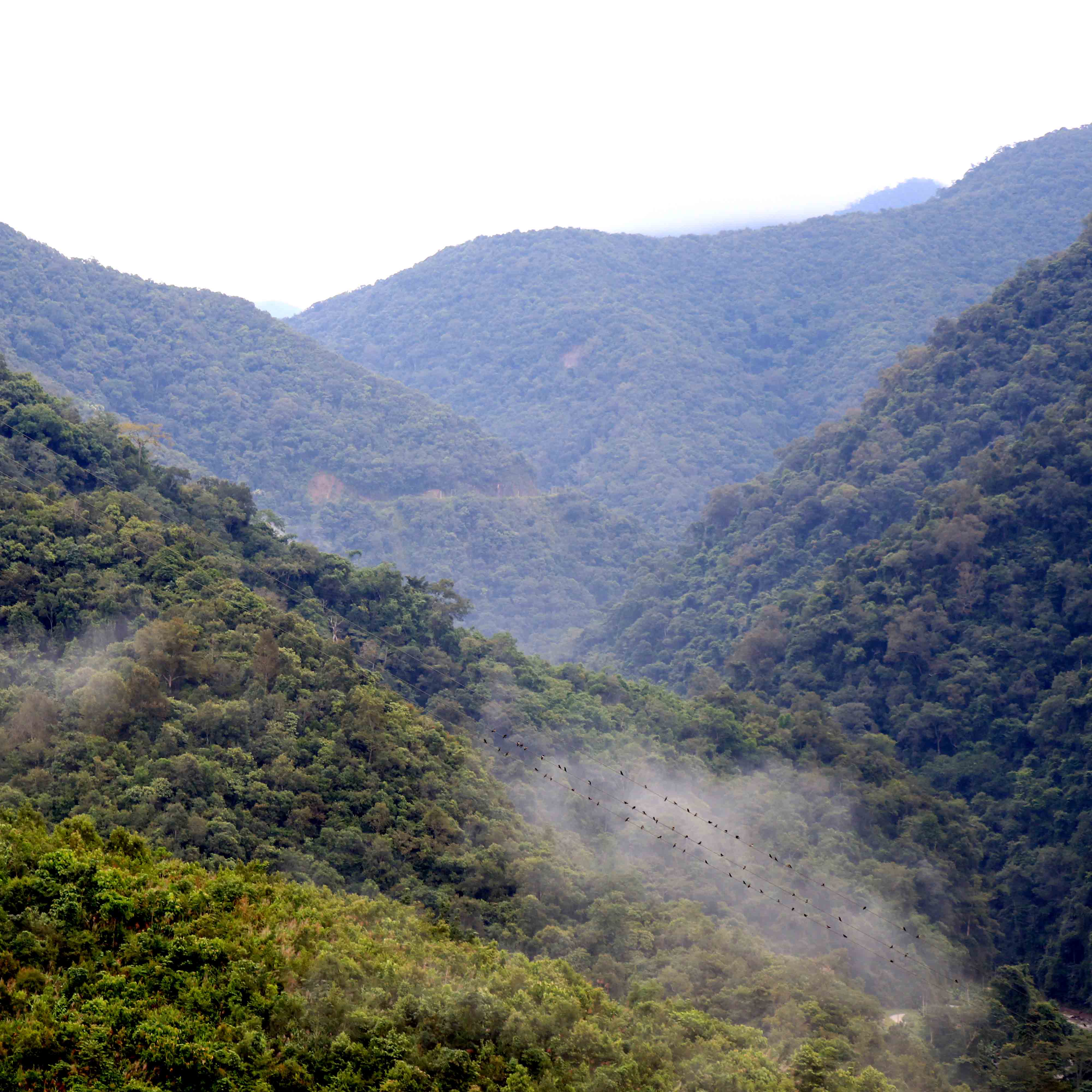 茶圣陸羽