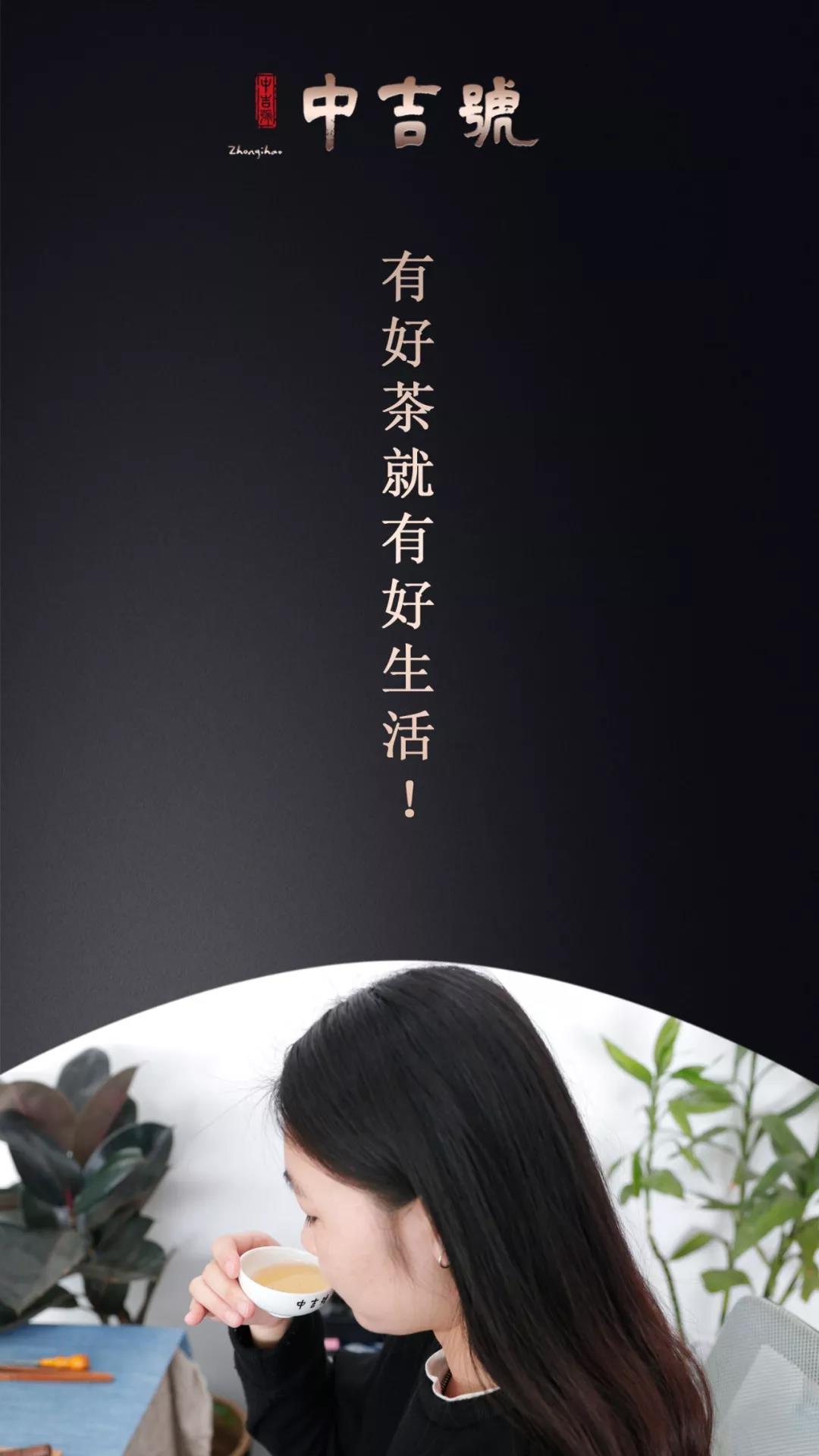 云南普洱茶旺財(cái)