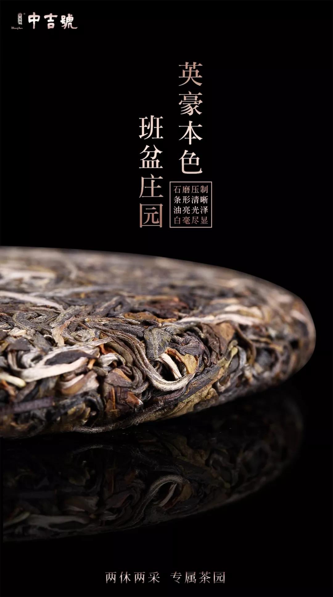 班盆普洱茶價格