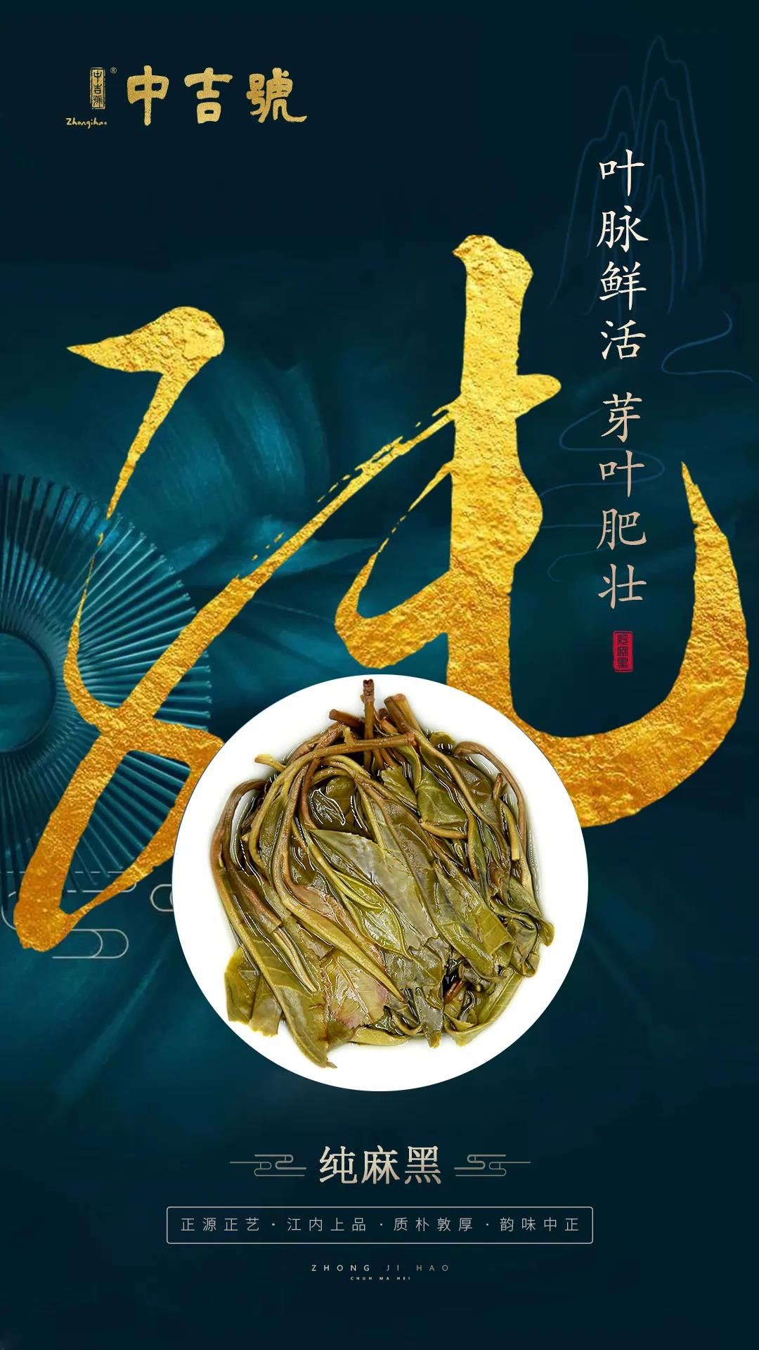 中吉號(hào)純麻黑普洱茶