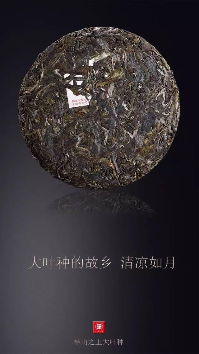 中吉號(hào)古樹(shù)茶