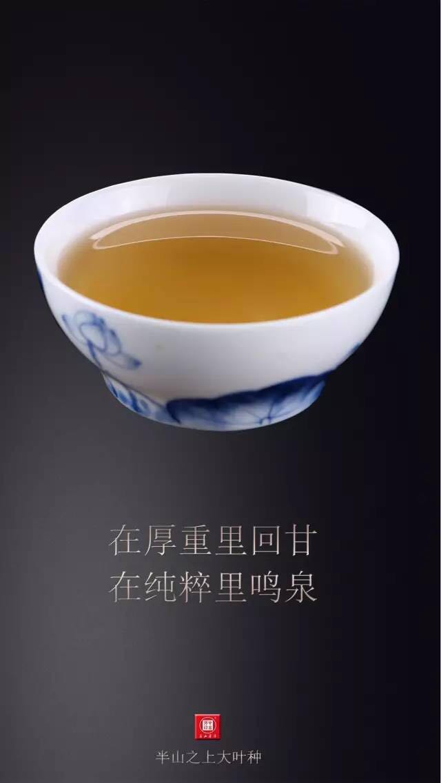 中吉號(hào)古樹(shù)茶