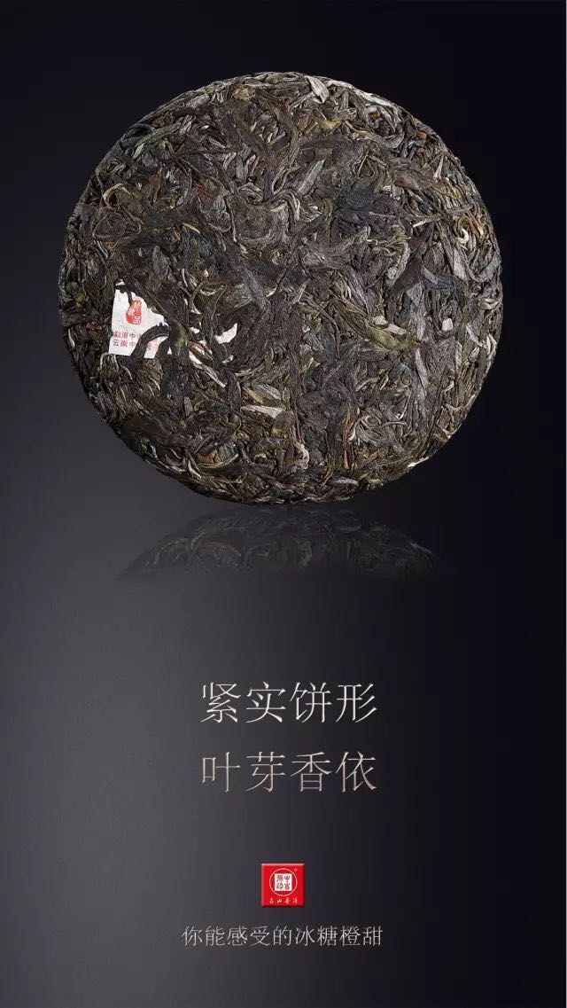 中吉號古樹茶