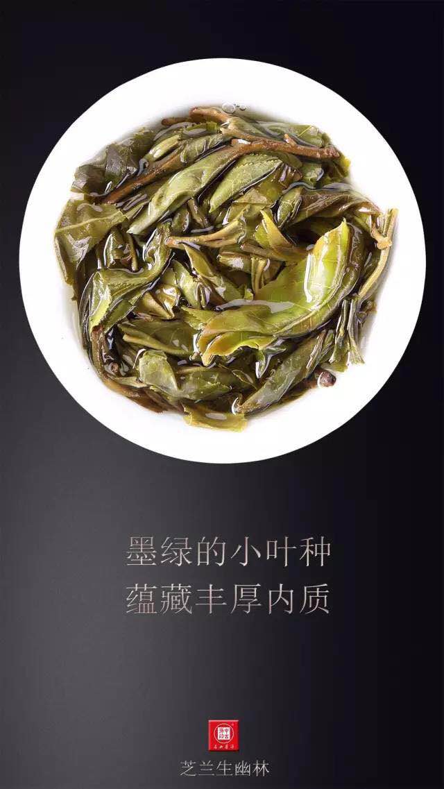 中吉號昔歸普洱茶