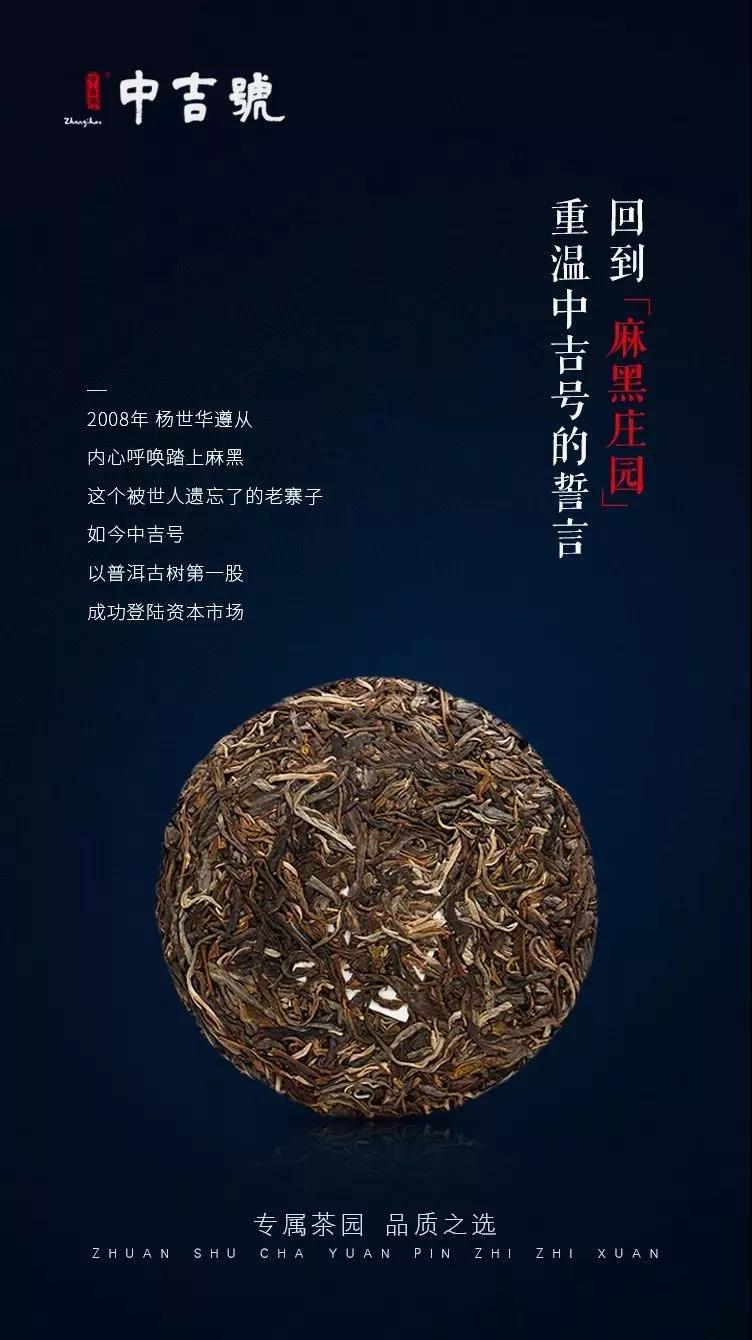 麻黑普洱茶價格