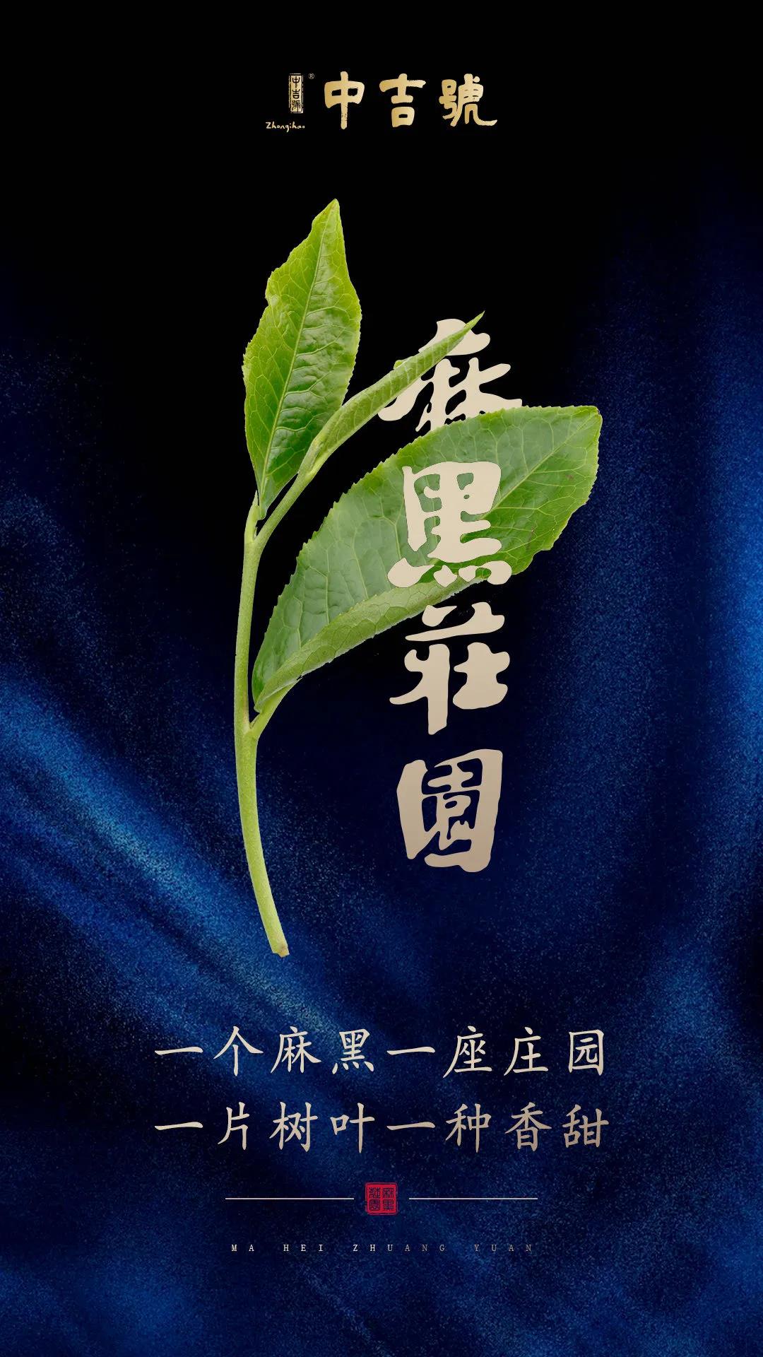 中吉號(hào)麻黑莊園普洱茶